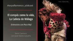 Privado: [ID: vI6HQHs5P1U] Youtube Automatic