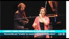 Privado: [ID: wM7p_5U5_FU] Youtube Automatic