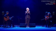 Privado: [ID: wmg14hrSids] Youtube Automatic