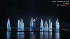 Privado: [ID: xIcT1_v3Sno] Youtube Automatic