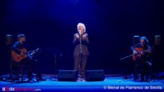 Privado: [ID: yBqYJQqH4eU] Youtube Automatic