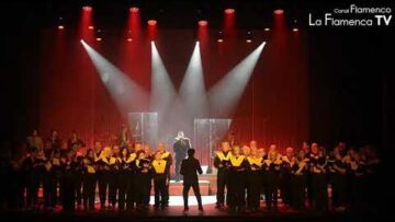 Privado: [ID: 2rePoHpi0-I] Youtube Automatic