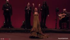 Privado: [ID: 5jKO-iL_mVA] Youtube Automatic