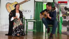 Privado: [ID: 7gDApfop9aE] Youtube Automatic