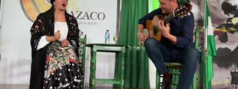 Privado: [ID: 7gDApfop9aE] Youtube Automatic