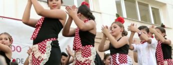 Privado: [ID: fG0mKB6hLEY] Youtube Automatic