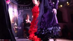 Privado: [ID: i4HYjFUT7Ag] Youtube Automatic