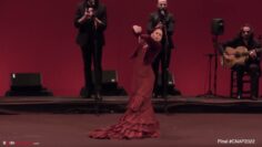 Privado: [ID: Jl_dBRe5zqo] Youtube Automatic