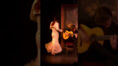 Privado: [ID: op_7j8guXeI] Youtube Automatic