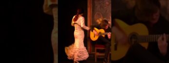 Privado: [ID: op_7j8guXeI] Youtube Automatic