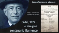 Privado: [ID: PYFiJpPP58k] Youtube Automatic