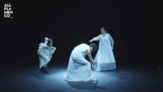 Privado: [ID: qB5yYnjx4fY] Youtube Automatic