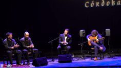 Privado: [ID: SbUYbVIg9O8] Youtube Automatic