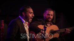 Privado: [ID: sQcUTOz95K4] Youtube Automatic