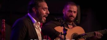 Privado: [ID: sQcUTOz95K4] Youtube Automatic