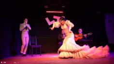 Privado: [ID: ThH6-rhgQAk] Youtube Automatic