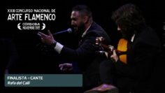 Privado: [ID: wDLV5_QtqPQ] Youtube Automatic