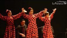 Privado: [ID: WGjqoMmOAEE] Youtube Automatic