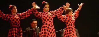 Privado: [ID: WGjqoMmOAEE] Youtube Automatic