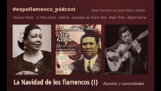 Privado: [ID: 0sUqLXl–ws] Youtube Automatic