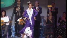 Privado: [ID: dpDNmP4rh6E] Youtube Automatic