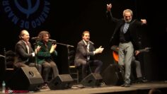 Privado: [ID: EfCTsKfN82w] Youtube Automatic