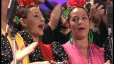 Privado: [ID: fpvM3DtZmcw] Youtube Automatic