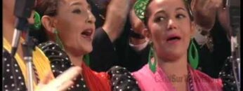 Privado: [ID: fpvM3DtZmcw] Youtube Automatic