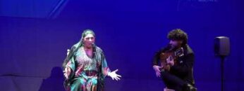 Privado: [ID: gTgT2riOA1c] Youtube Automatic