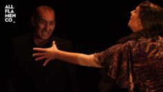 Privado: [ID: iDBxjFQZGII] Youtube Automatic