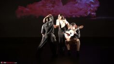 Privado: [ID: L12RUmLd2RQ] Youtube Automatic