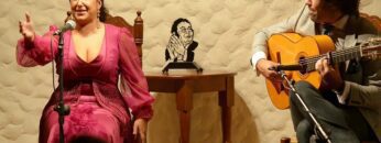 Privado: [ID: LKoU8Zqq7gY] Youtube Automatic