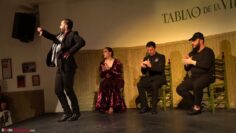 Privado: [ID: Myq05p9LQkQ] Youtube Automatic