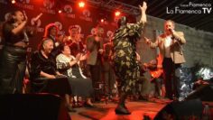 Privado: [ID: n9_kJ6N0nW0] Youtube Automatic