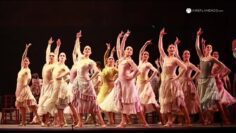 Privado: [ID: txjoz9HH1FA] Youtube Automatic