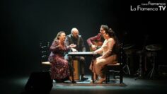 Privado: [ID: x4kAotZSvcQ] Youtube Automatic