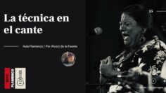 Privado: [ID: -2OtWI581us] Youtube Automatic