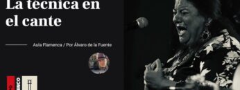 Privado: [ID: -2OtWI581us] Youtube Automatic