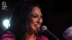 Privado: [ID: 3tw1TQkVPeM] Youtube Automatic