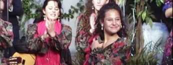 Privado: [ID: DTVJ07kAnAU] Youtube Automatic