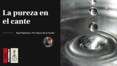 Privado: [ID: E2vURw_bGFA] Youtube Automatic