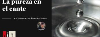 Privado: [ID: E2vURw_bGFA] Youtube Automatic