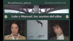 Privado: [ID: XI0NiBrMDB4] Youtube Automatic