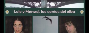 Privado: [ID: XI0NiBrMDB4] Youtube Automatic