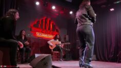 Privado: [ID: z_0Oo-QiW5s] Youtube Automatic