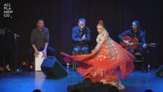 Privado: [ID: 1w7YKP0u8H4] Youtube Automatic