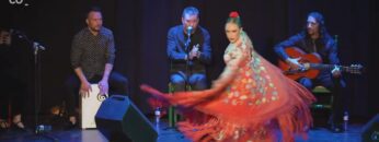 Privado: [ID: 1w7YKP0u8H4] Youtube Automatic