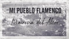 Privado: [ID: 3H9lHk391qs] Youtube Automatic