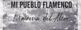 Privado: [ID: 3H9lHk391qs] Youtube Automatic