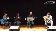 Privado: [ID: 6fKjw9m-COY] Youtube Automatic